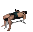 Dumbbell Press - Basic